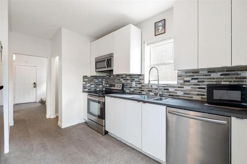 550 Boyd Avenue, Winnipeg, MB - Indoor Photo Showing Kitchen With Double Sink With Upgraded Kitchen