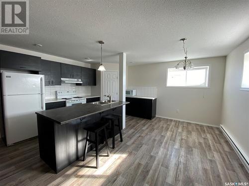 104 Railway Avenue E, Kindersley Rm No. 290, SK - Indoor Photo Showing Kitchen With Double Sink