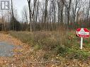 Lot Parkhill Circle, South Glengarry, ON 