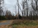 Lot Parkhill Circle, South Glengarry (724 - South Glengarry (Lancaster) Twp), ON 