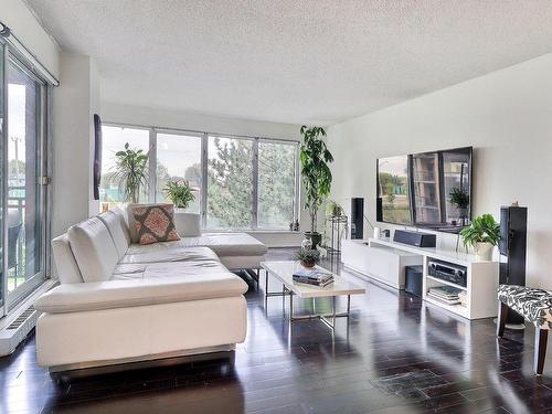 Salon - 307-8145 Boul. St-Laurent, Brossard, QC - Indoor Photo Showing Living Room