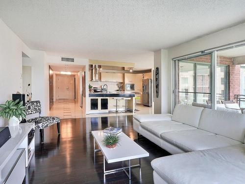 Vue d'ensemble - 307-8145 Boul. St-Laurent, Brossard, QC - Indoor Photo Showing Living Room