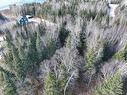 Wooded area - Ch. Du Lac-Élan, Saint-Donat, QC 