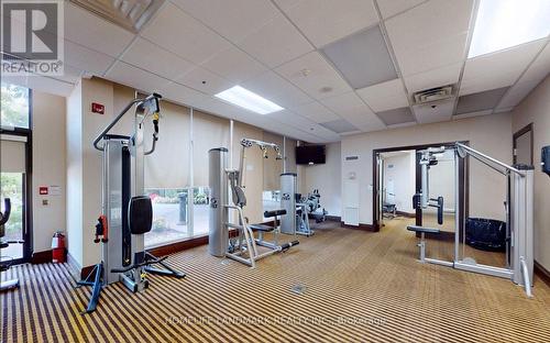 808 - 18 Harding Boulevard, Richmond Hill, ON - Indoor Photo Showing Gym Room