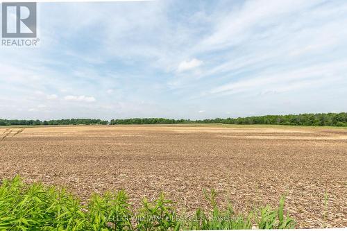 28286 Duff Line, Dutton/Dunwich (Dutton), ON - Outdoor With View