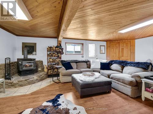 13660 Longwoods Road, Chatham-Kent (Thamesville), ON - Indoor Photo Showing Living Room With Fireplace