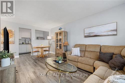 102 - 214 Viewmount Drive, Ottawa, ON - Indoor Photo Showing Living Room