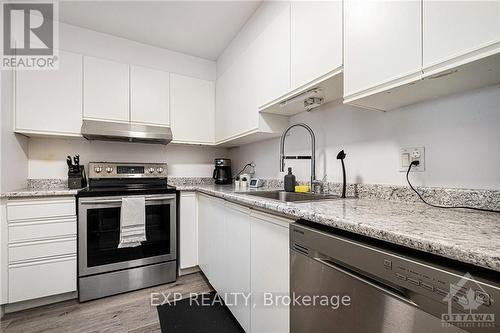 102 - 214 Viewmount Drive, Ottawa, ON - Indoor Photo Showing Kitchen With Stainless Steel Kitchen