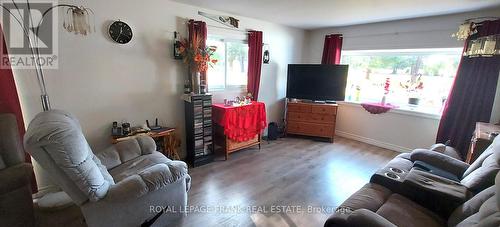 83 Belmont Street, Havelock-Belmont-Methuen, ON - Indoor Photo Showing Living Room