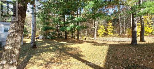 83 Belmont Street, Havelock-Belmont-Methuen, ON - Outdoor With View