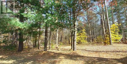 83 Belmont Street, Havelock-Belmont-Methuen, ON - Outdoor With View