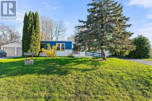 52 Damsel Circle, Georgina, ON - Outdoor