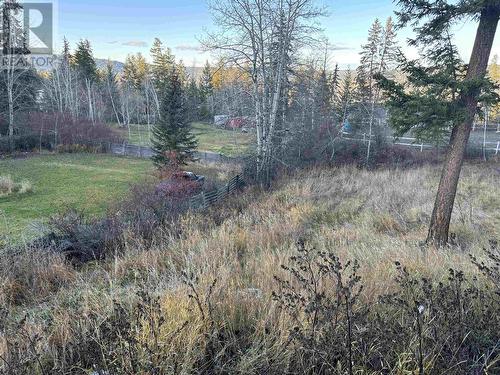 406 Richard Street, Williams Lake, BC - Outdoor With View