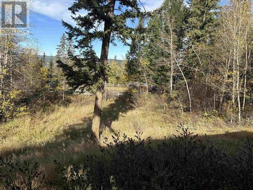 406 Richard Street, Williams Lake, BC - Outdoor With View