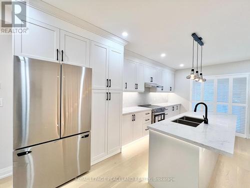 73 Merrill Avenue E, Toronto, ON - Indoor Photo Showing Kitchen With Double Sink With Upgraded Kitchen