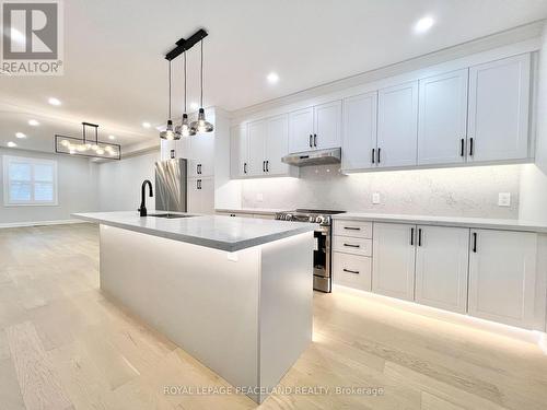 73 Merrill Avenue E, Toronto, ON - Indoor Photo Showing Kitchen With Upgraded Kitchen