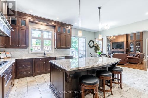 17 Mcdonald Court, Hamilton, ON - Indoor Photo Showing Kitchen With Upgraded Kitchen