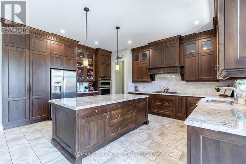 17 Mcdonald Court, Hamilton, ON - Indoor Photo Showing Kitchen With Upgraded Kitchen