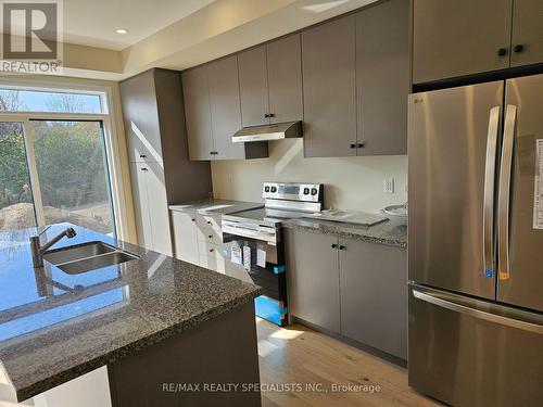 2078 Coppenwood   Common, Burlington, ON - Indoor Photo Showing Kitchen With Stainless Steel Kitchen With Double Sink