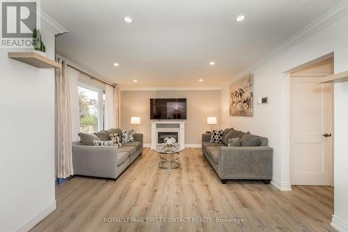 588300 County Rd 17 Road, Mulmur, ON - Indoor Photo Showing Living Room With Fireplace