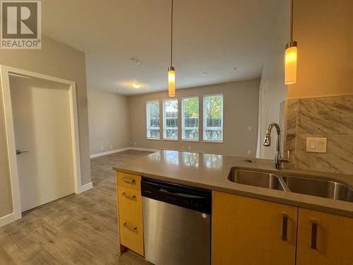 102 12040 222 Street, Maple Ridge, BC - Indoor Photo Showing Kitchen With Double Sink