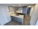 1803 10333 133 Street, Surrey, BC  - Indoor Photo Showing Kitchen With Double Sink 