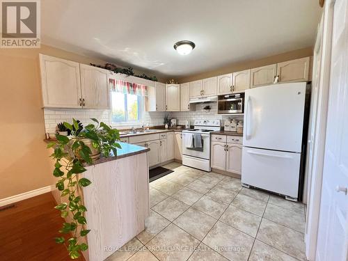 244 North Trent Street, Quinte West, ON - Indoor Photo Showing Kitchen