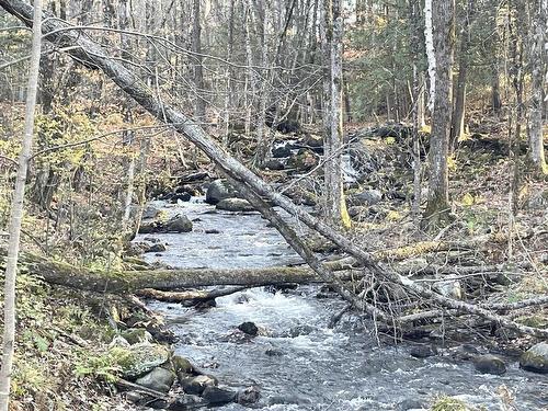 Autre - 135 Ch. Des Bouleaux, Lac-Des-Écorces, QC - Outdoor