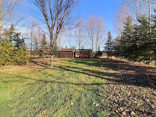 Backyard - 93 Rue Isabelle, La Sarre, QC - Outdoor With View