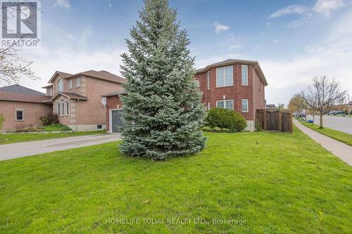 Bsmt - 23 Shalom Way, Barrie, ON - Outdoor