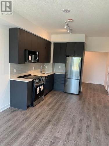 203 - 225 Malta Avenue, Brampton, ON - Indoor Photo Showing Kitchen