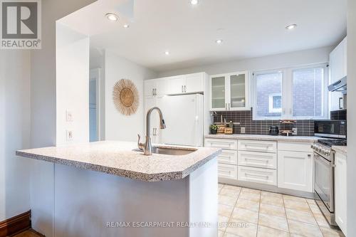 56 Newton Avenue, Hamilton, ON - Indoor Photo Showing Kitchen With Upgraded Kitchen