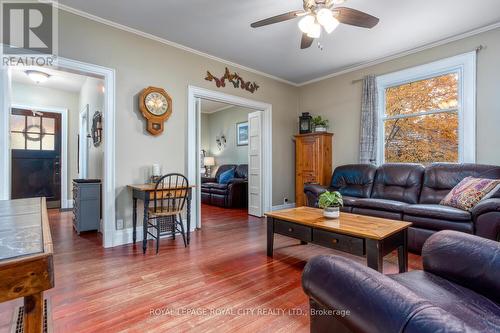 45 Alma Street S, Guelph, ON - Indoor Photo Showing Living Room