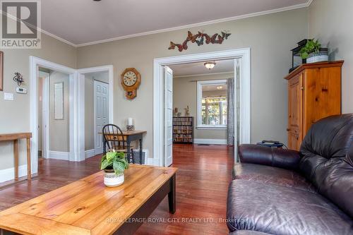 45 Alma Street S, Guelph, ON - Indoor Photo Showing Living Room