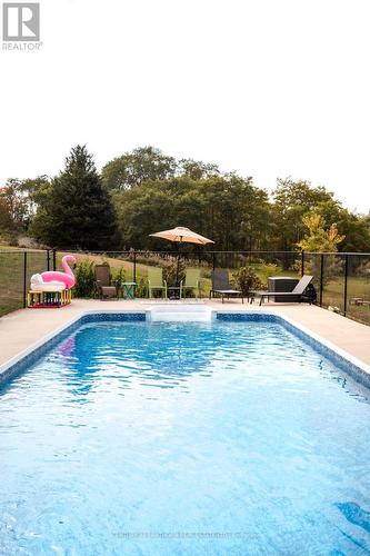 326 Mcfaul Road, Prince Edward County (Wellington), ON - Outdoor With In Ground Pool With Backyard