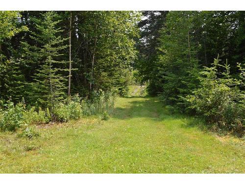 619 Spruce Brook (Lot 2) Road, Gallants, NL 