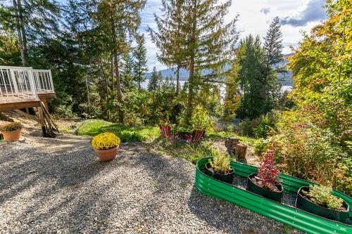 1235 Lee Creek Drive, Lee Creek, BC - Outdoor