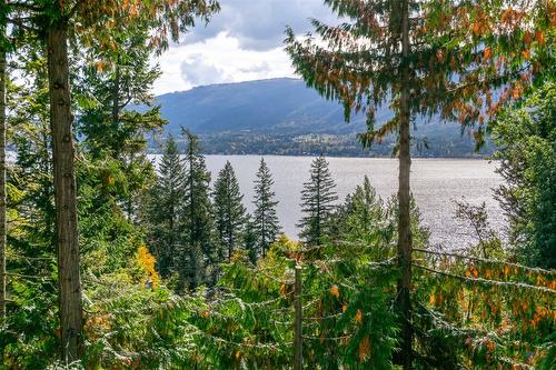 1235 Lee Creek Drive, Lee Creek, BC - Outdoor With Body Of Water With View