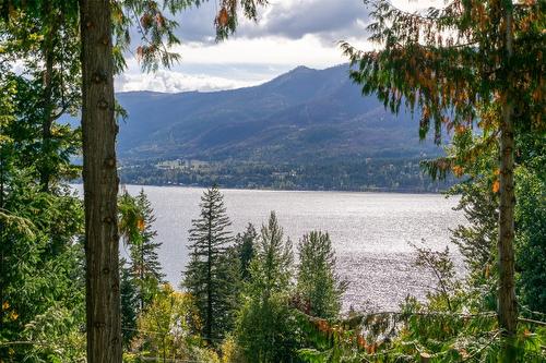 1235 Lee Creek Drive, Lee Creek, BC - Outdoor With Body Of Water With View