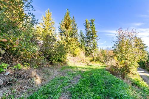 1235 Lee Creek Drive, Lee Creek, BC - Outdoor