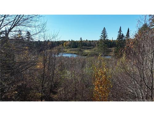 92-5 Loon Bay Rd, Saint James, NB 