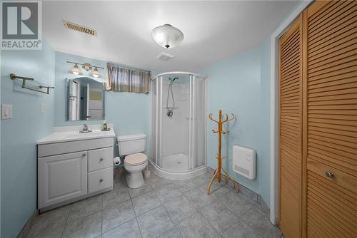 38 Berkley Court, Sudbury, ON - Indoor Photo Showing Bathroom