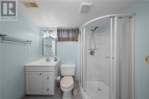 38 Berkley Court, Sudbury, ON - Indoor Photo Showing Bathroom