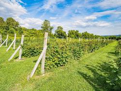 Land/Lot - 