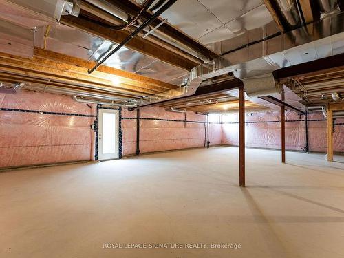 9 Mayflower Gdns, Adjala-Tosorontio, ON - Indoor Photo Showing Basement