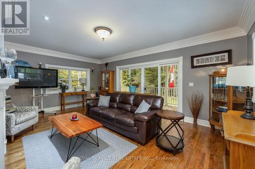 542 Larmer Line, Cavan Monaghan, ON - Indoor Photo Showing Living Room