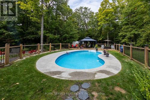 542 Larmer Line, Cavan Monaghan, ON - Outdoor With In Ground Pool With Backyard