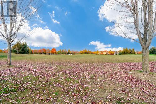 56 Armitage Crescent, Ajax, ON - Outdoor With View