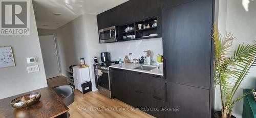 1111 - 135 East Liberty Street, Toronto, ON - Indoor Photo Showing Kitchen With Upgraded Kitchen