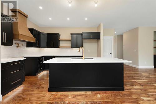 2576 Mayfair, Lasalle, ON - Indoor Photo Showing Kitchen With Upgraded Kitchen